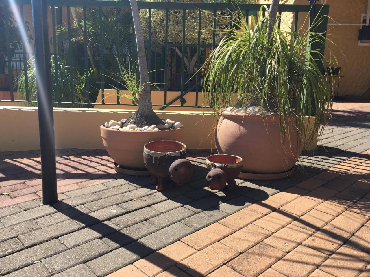 Felsenblick Self-Catering Hotel Windhoek Luaran gambar
